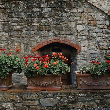 Il Cascino Guest House Greve in Chianti Eksteriør bilde