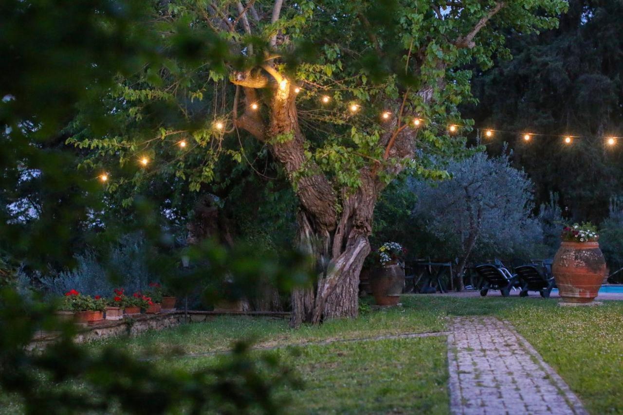 Il Cascino Guest House Greve in Chianti Eksteriør bilde