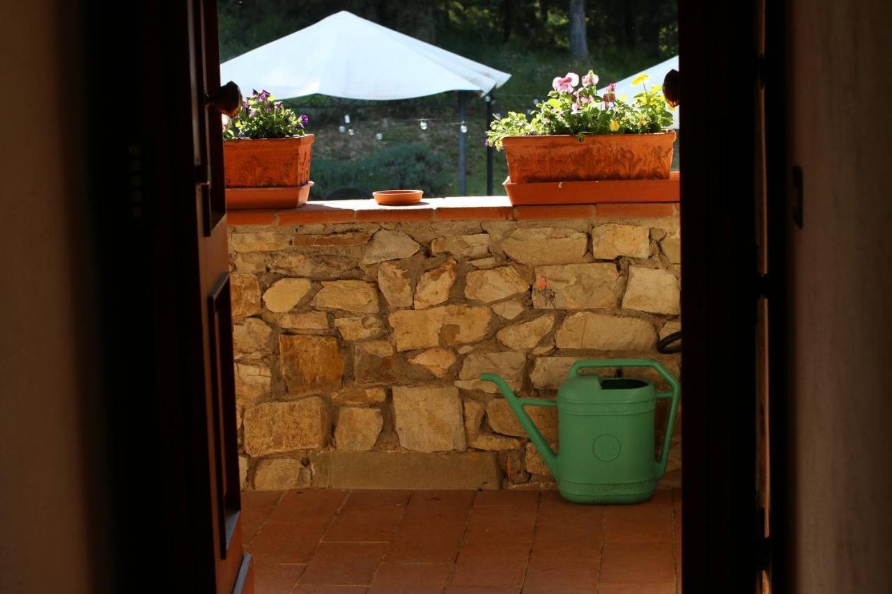 Il Cascino Guest House Greve in Chianti Eksteriør bilde